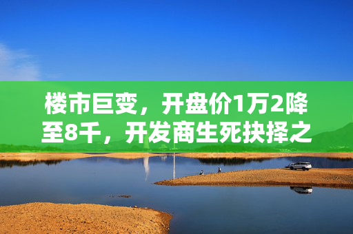 楼市巨变，开盘价1万2降至8千，开发商生死抉择之际的楼市风云