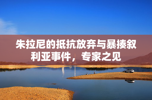 朱拉尼的抵抗放弃与暴揍叙利亚事件，专家之见