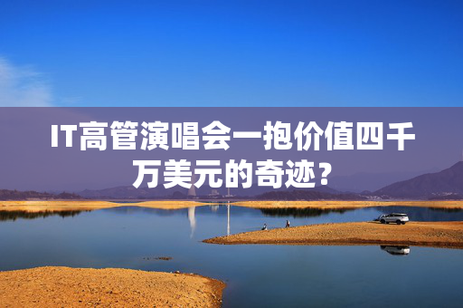 IT高管演唱会一抱价值四千万美元的奇迹？