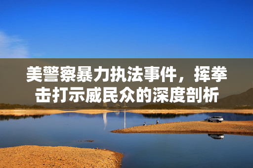 美警察暴力执法事件，挥拳击打示威民众的深度剖析