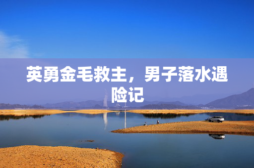 英勇金毛救主，男子落水遇险记