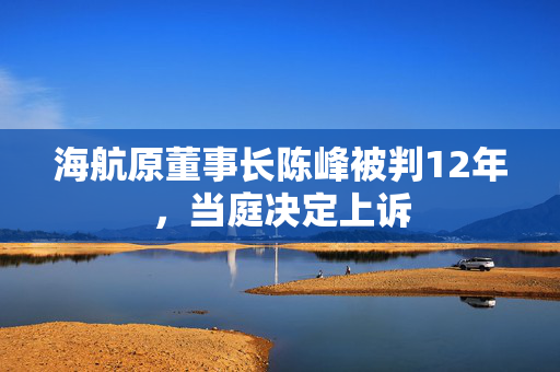 海航原董事长陈峰被判12年，当庭决定上诉