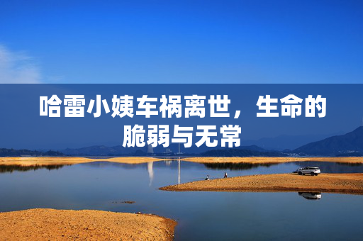 哈雷小姨车祸离世，生命的脆弱与无常