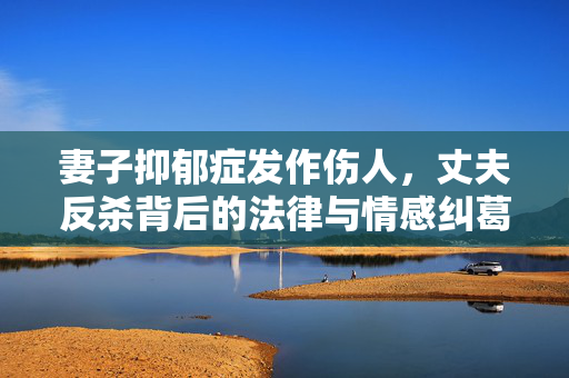 妻子抑郁症发作伤人，丈夫反杀背后的法律与情感纠葛