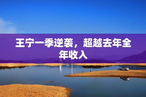 王宁一季逆袭，超越去年全年收入