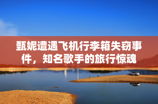 甄妮遭遇飞机行李箱失窃事件，知名歌手的旅行惊魂