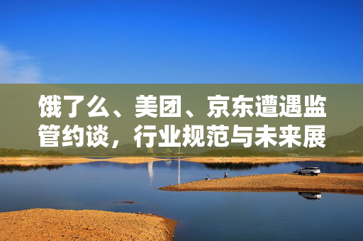 饿了么、美团、京东遭遇监管约谈，行业规范与未来展望