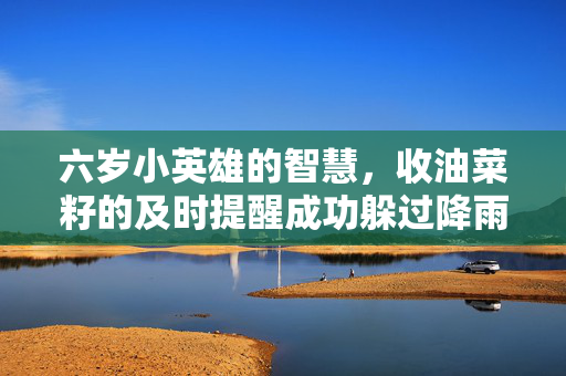 六岁小英雄的智慧，收油菜籽的及时提醒成功躲过降雨