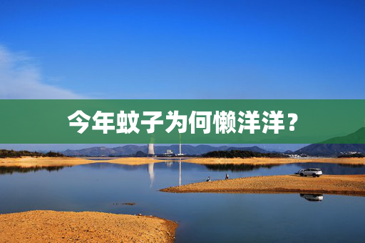 今年蚊子为何懒洋洋？