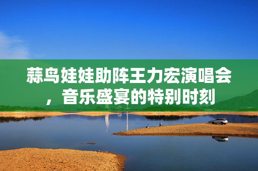 蒜鸟娃娃助阵王力宏演唱会，音乐盛宴的特别时刻