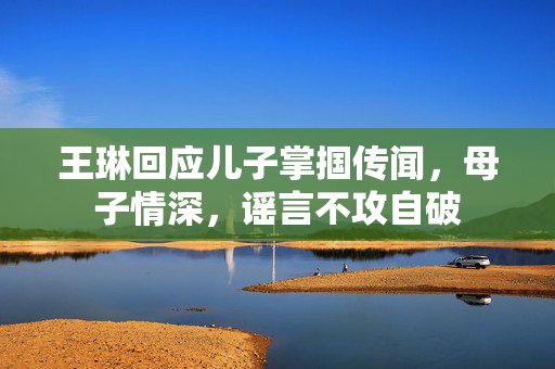 王琳回应儿子掌掴传闻，母子情深，谣言不攻自破