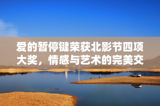 爱的暂停键荣获北影节四项大奖，情感与艺术的完美交融