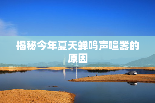 揭秘今年夏天蝉鸣声喧嚣的原因