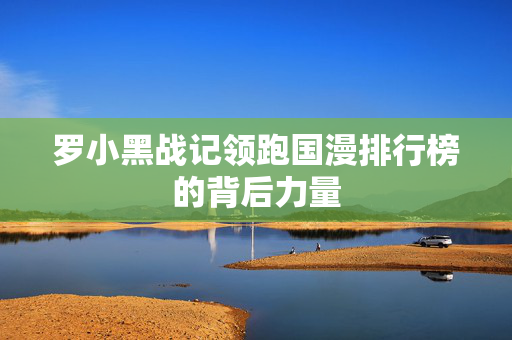 罗小黑战记领跑国漫排行榜的背后力量