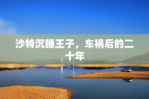 沙特沉睡王子，车祸后的二十年