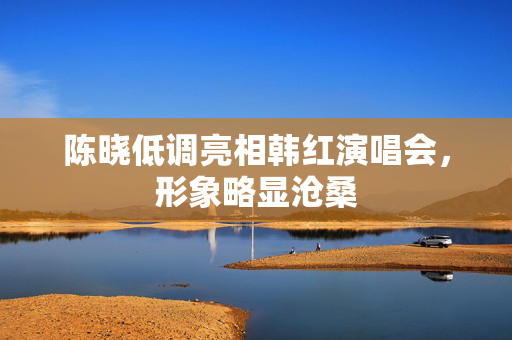 陈晓低调亮相韩红演唱会，形象略显沧桑