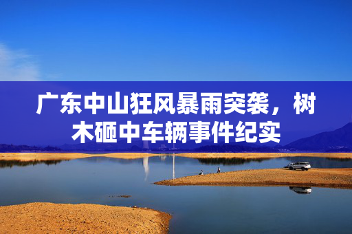 广东中山狂风暴雨突袭，树木砸中车辆事件纪实