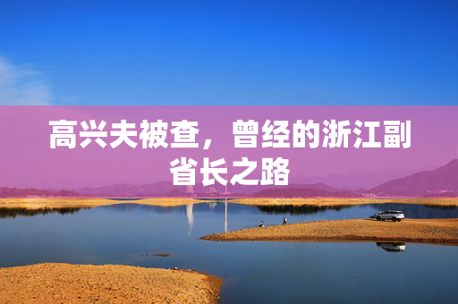 高兴夫被查，曾经的浙江副省长之路