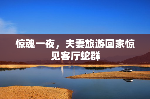 惊魂一夜，夫妻旅游回家惊见客厅蛇群