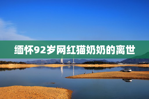 缅怀92岁网红猫奶奶的离世
