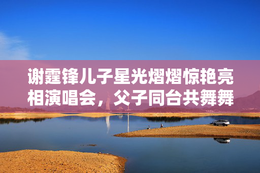 谢霆锋儿子星光熠熠惊艳亮相演唱会，父子同台共舞舞台