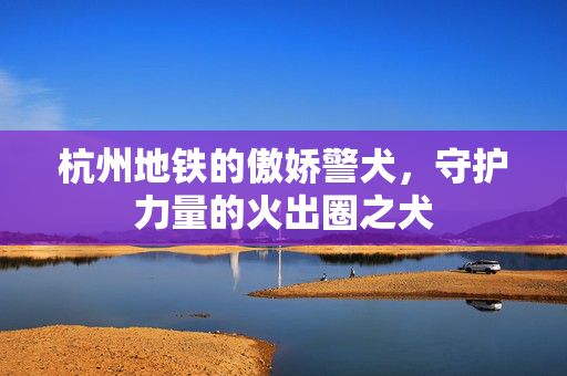 杭州地铁的傲娇警犬，守护力量的火出圈之犬