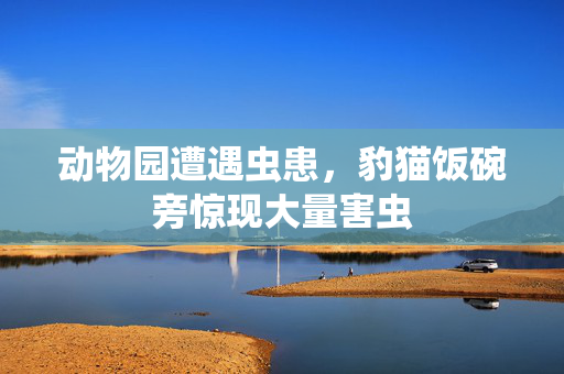 动物园遭遇虫患，豹猫饭碗旁惊现大量害虫