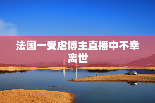 法国一受虐博主直播中不幸离世