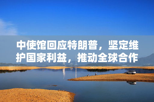 中使馆回应特朗普，坚定维护国家利益，推动全球合作，中国需让步以促进合作共赢