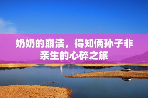 奶奶的崩溃，得知俩孙子非亲生的心碎之旅