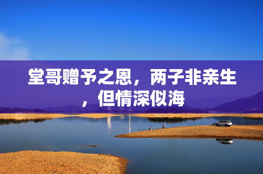 堂哥赠予之恩，两子非亲生，但情深似海
