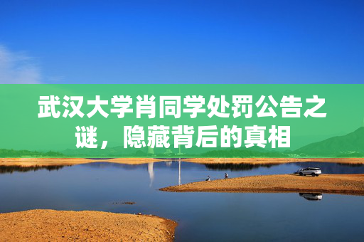 武汉大学肖同学处罚公告之谜，隐藏背后的真相