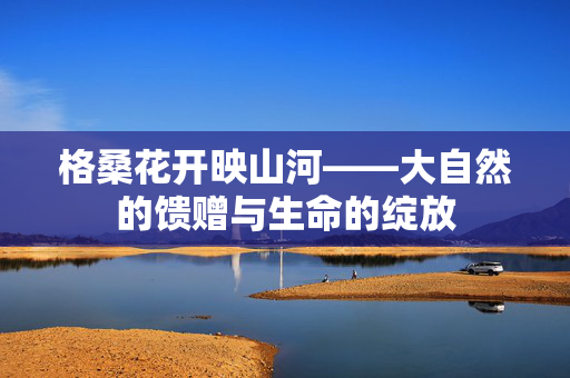 格桑花开映山河——大自然的馈赠与生命的绽放