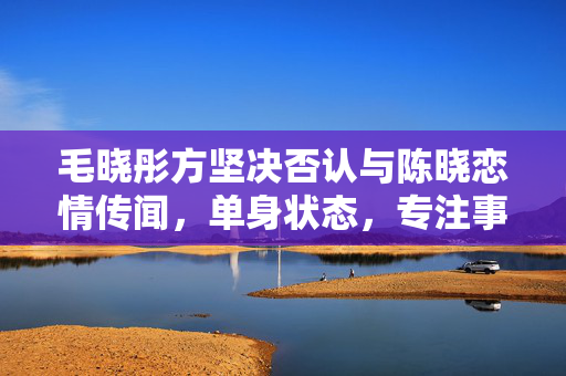 毛晓彤方坚决否认与陈晓恋情传闻，单身状态，专注事业