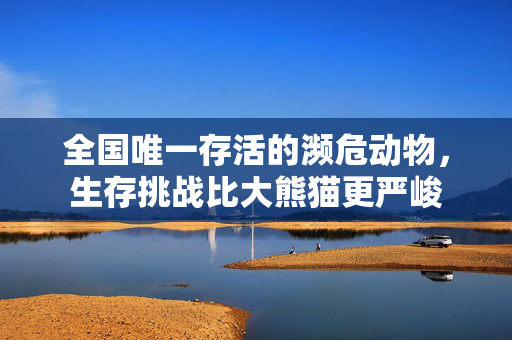 全国唯一存活的濒危动物，生存挑战比大熊猫更严峻
