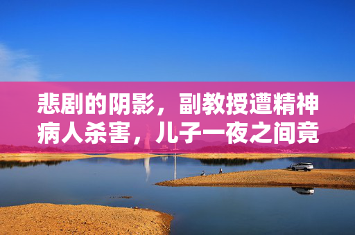 悲剧的阴影，副教授遭精神病人杀害，儿子一夜之间竟秃头