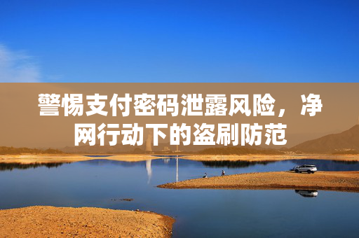 警惕支付密码泄露风险，净网行动下的盗刷防范
