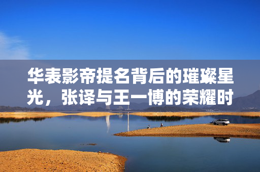 华表影帝提名背后的璀璨星光，张译与王一博的荣耀时刻