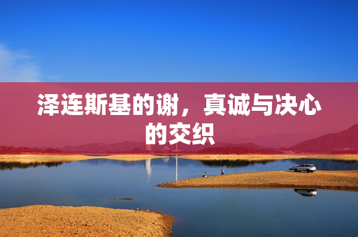 泽连斯基的谢，真诚与决心的交织