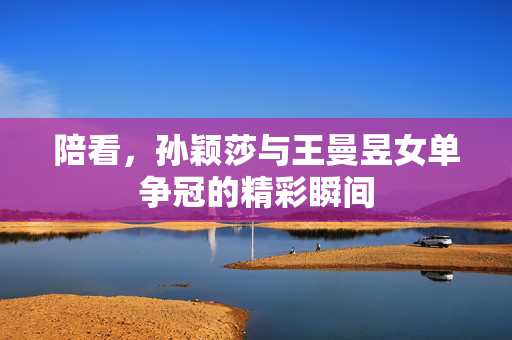 陪看，孙颖莎与王曼昱女单争冠的精彩瞬间