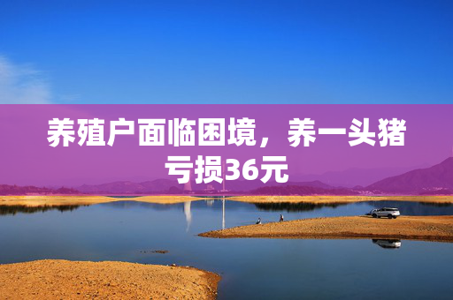 养殖户面临困境，养一头猪亏损36元