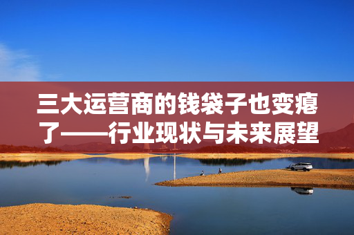 三大运营商的钱袋子也变瘪了——行业现状与未来展望