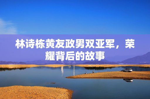 林诗栋黄友政男双亚军，荣耀背后的故事