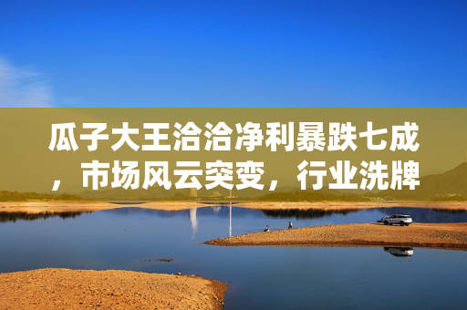 瓜子大王洽洽净利暴跌七成，市场风云突变，行业洗牌在即