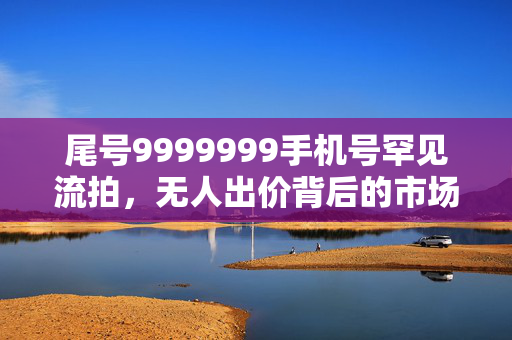 尾号9999999手机号罕见流拍，无人出价背后的市场与文化思考