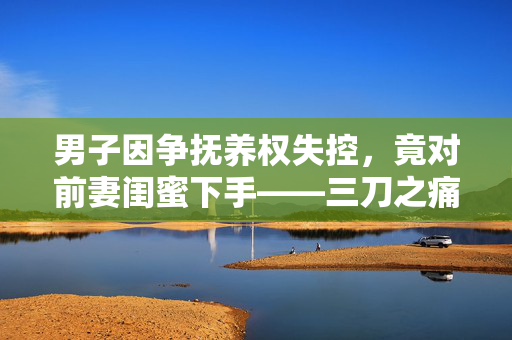 男子因争抚养权失控，竟对前妻闺蜜下手——三刀之痛引发的社会思考