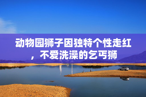 动物园狮子因独特个性走红，不爱洗澡的乞丐狮