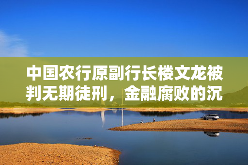 中国农行原副行长楼文龙被判无期徒刑，金融腐败的沉重代价