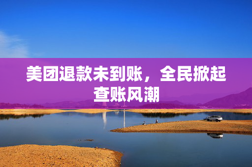 美团退款未到账，全民掀起查账风潮
