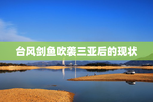 台风剑鱼吹袭三亚后的现状
